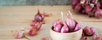 84-bawang-merah