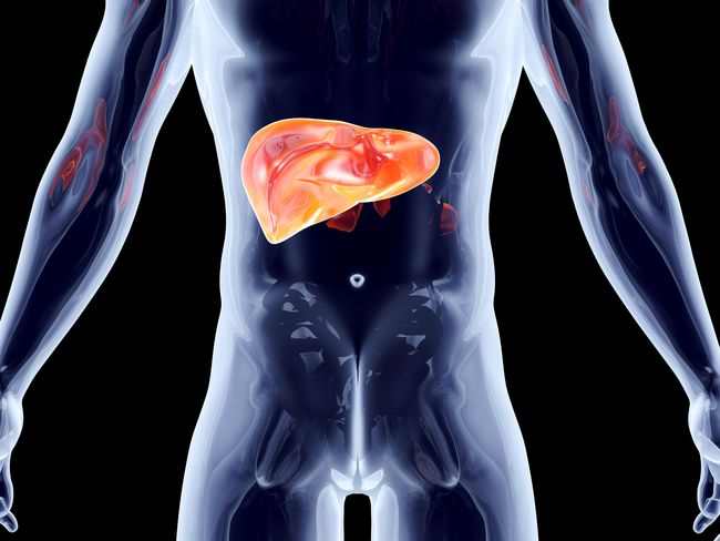 123-hepatitis-a