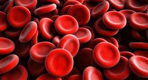 145-sel-darah-merah-eritrosit