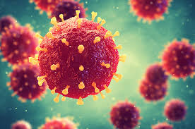 184-roptavirus