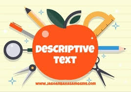 206-descriptive-text