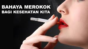 209-bahaya-merokok-bagi-kesehatan-tubuh
