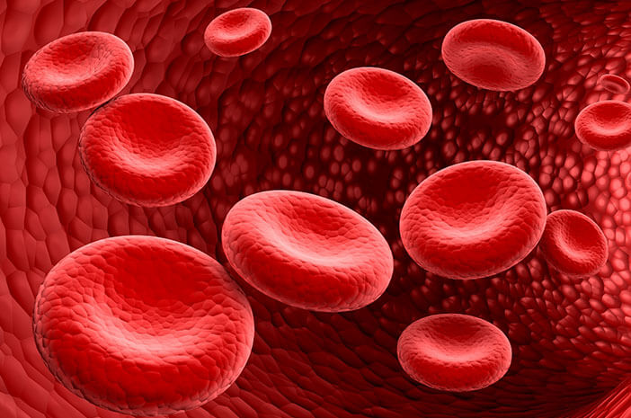 229-eritrosit-sel-darah-merah