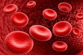 310-mengenal-eritrosit-sel-darah-merah
