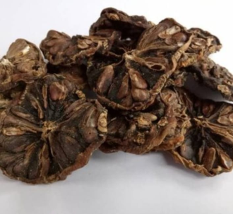 332-morindae-citrifoliae-fructus