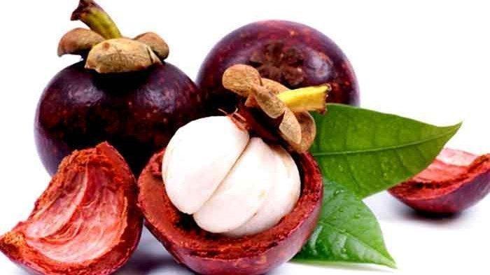603-manggis-garcinia-mangostana-l